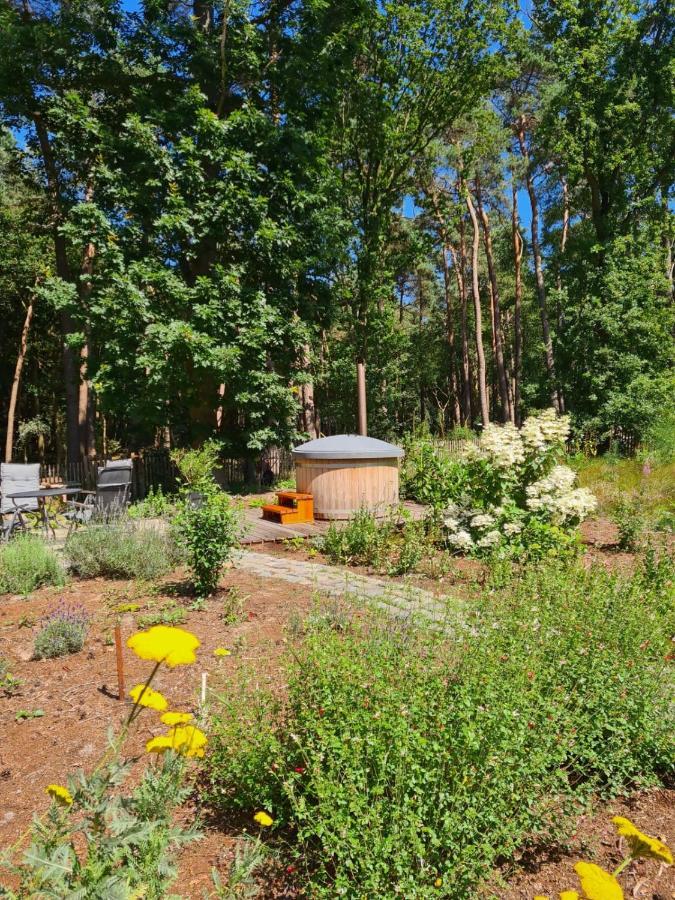 Vakantiehuis Met Hottub En Barrelsauna Оммен Екстер'єр фото