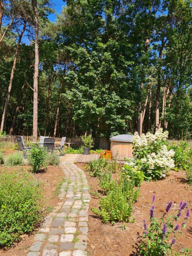 Vakantiehuis Met Hottub En Barrelsauna Оммен Екстер'єр фото